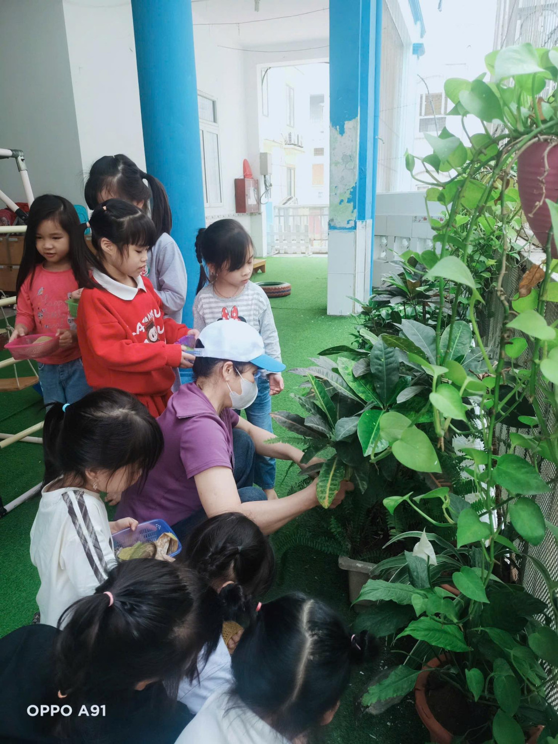 Công việc định kỳ đảm bảo cho các con có một môi trường an toàn phòng tránh dịch bệnh